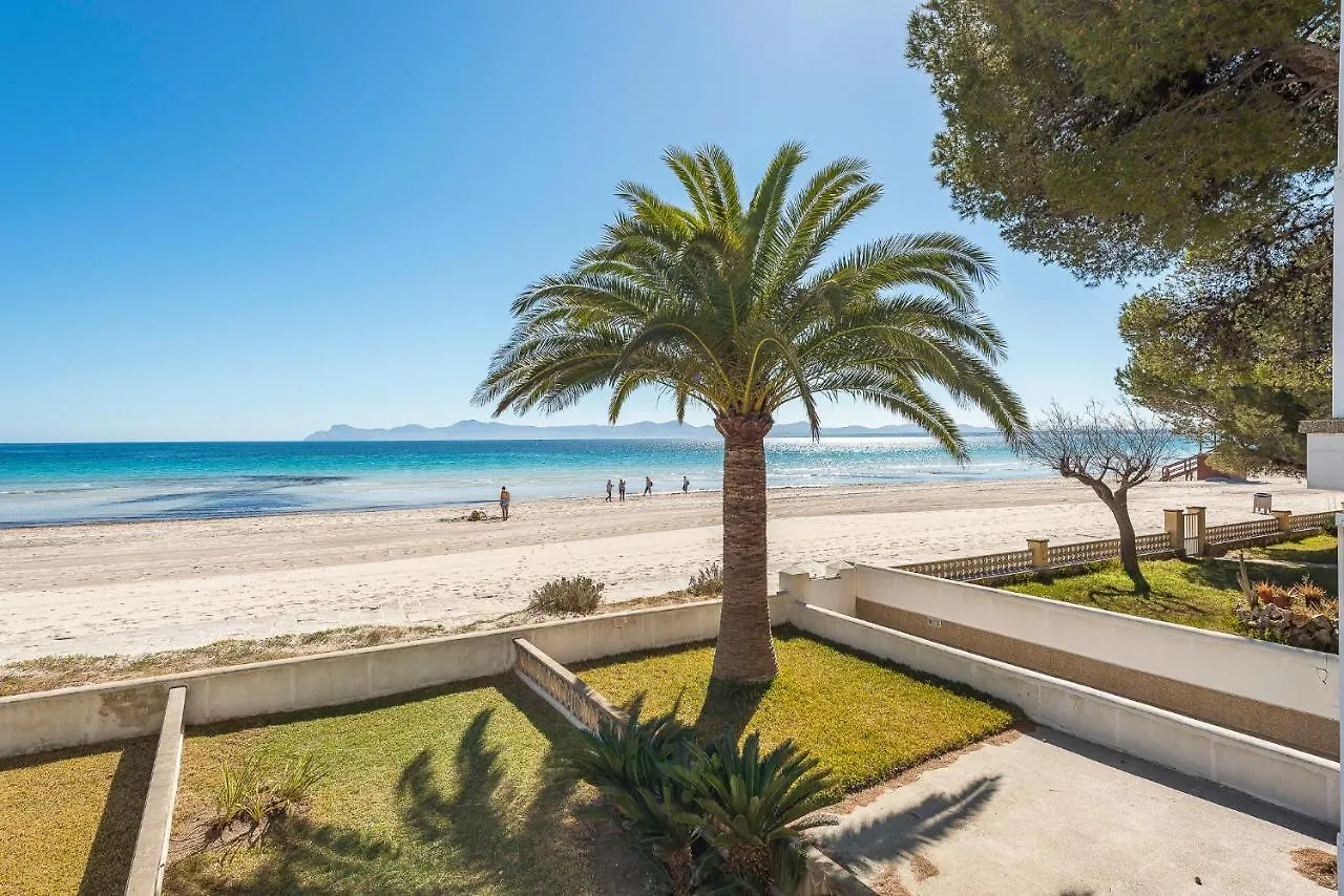Apartamento Playa De Los Pinos Alcudia  Alcudia (Mallorca)
